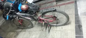 পার্সোনাল বাহন বাইসাইকেল