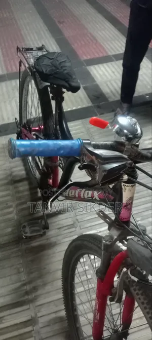পার্সোনাল বাহন বাইসাইকেল