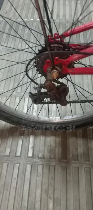 পার্সোনাল বাহন বাইসাইকেল