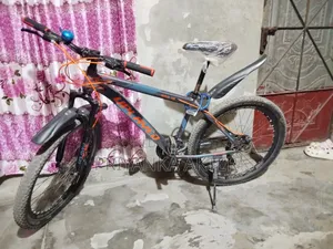 Ashraful Shekh