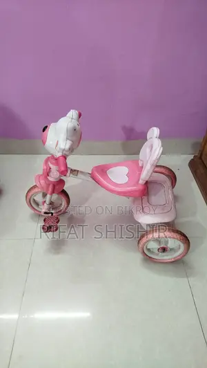 Tricycle Baby
