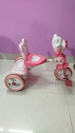 Tricycle Baby