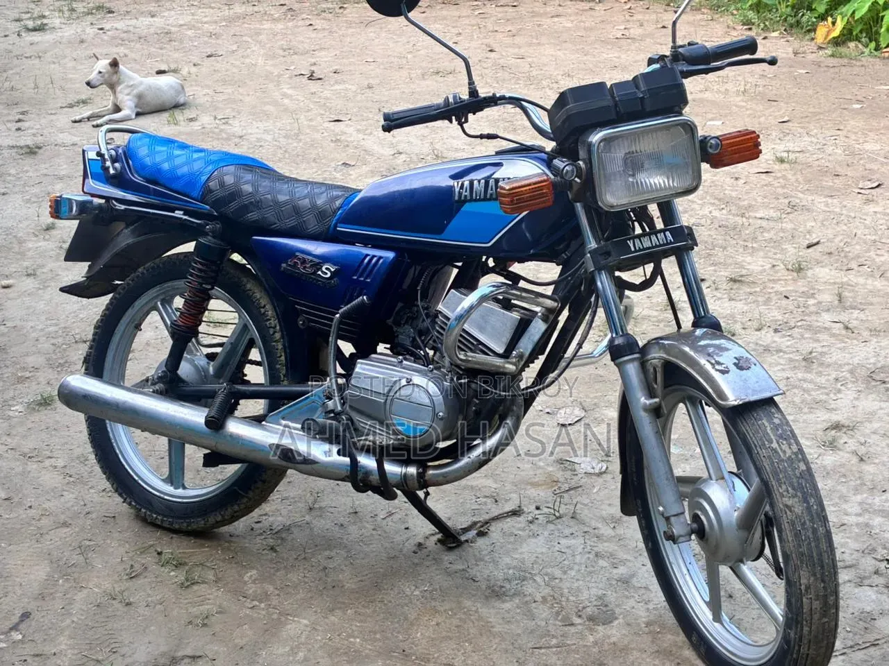 Yamaha 2000 Blue