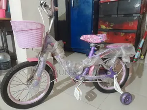 Phonix Cycle