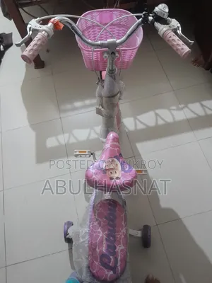 Phonix Cycle