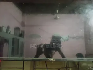 Will sell TV including TV card