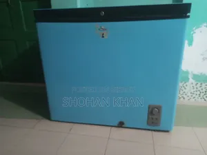 Walton Deep Freezer