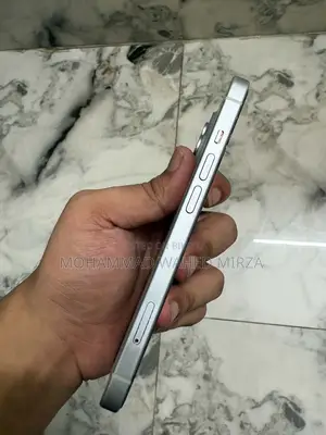 অ্যাপল আইফোন ১৫ ১২৮ জিবি সিলভার