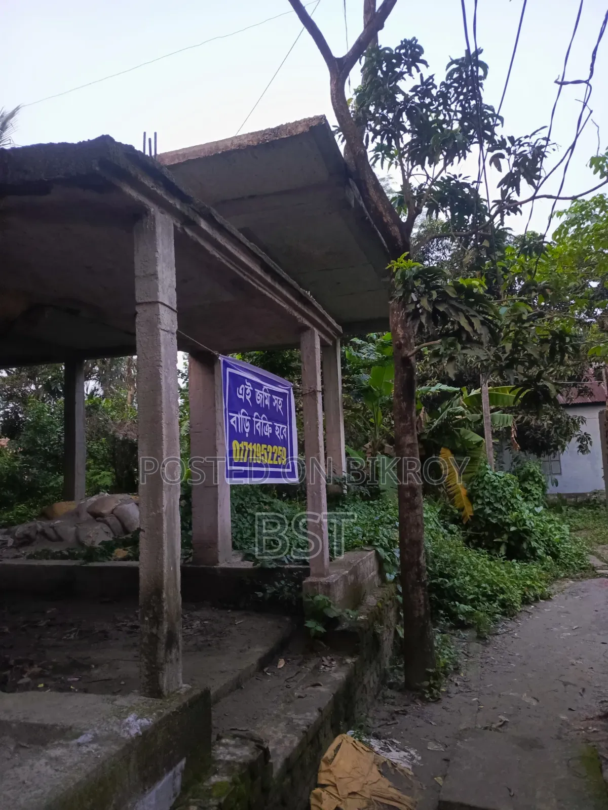 House with land