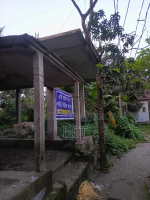 House with land