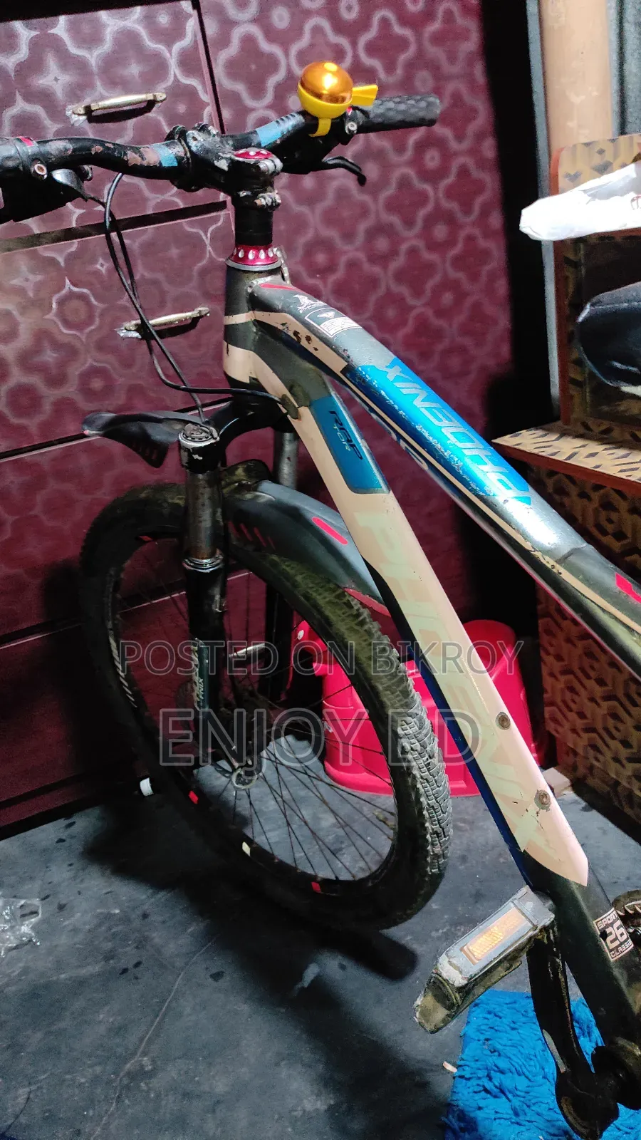 সাইকেল কোনো সমস্যা নেই