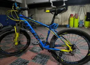This Cycle Is for Sale