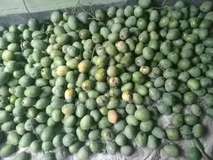 খিরশাপাত আম বিক্রি করা হবে