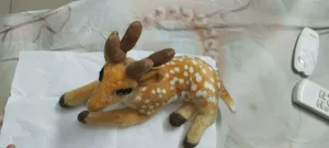 Doll Made in China
