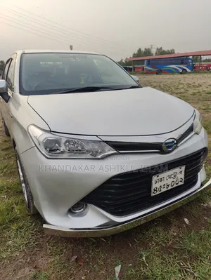 Toyota Axio 2016 Silver