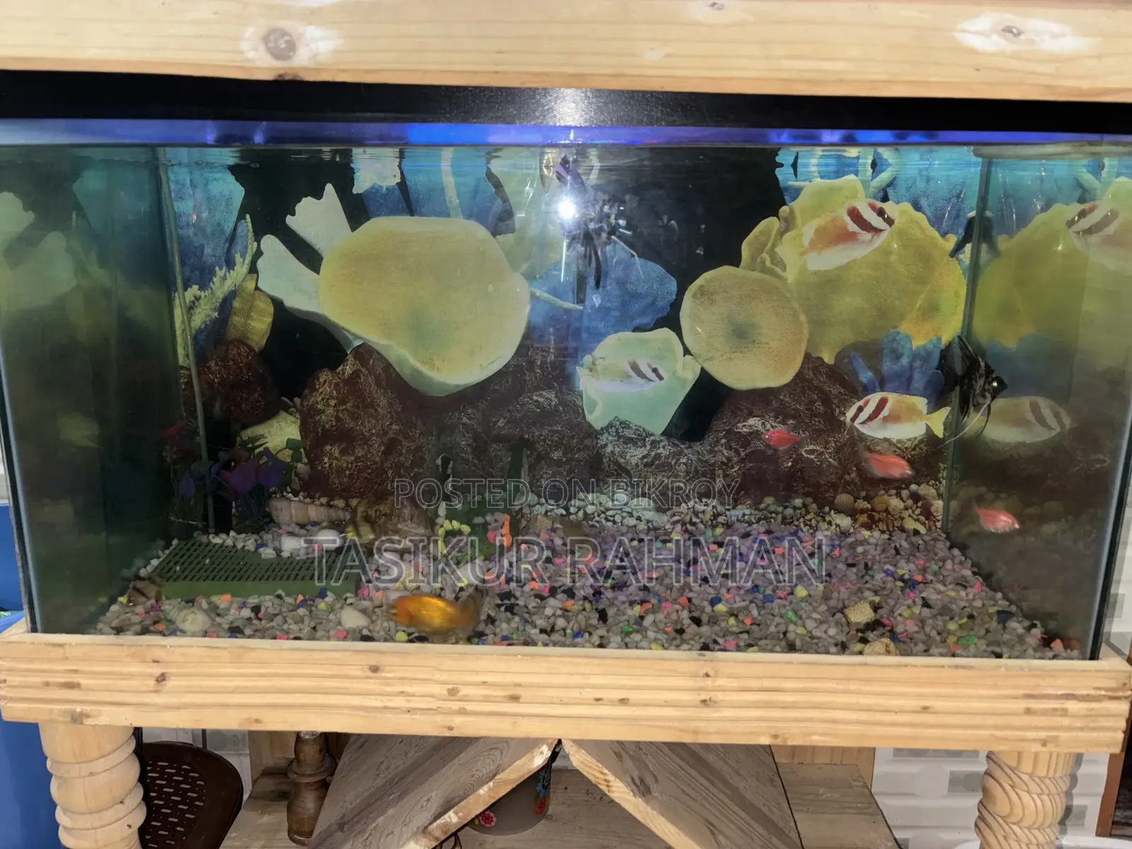 Aquarium For Sale 30*18 Full Set