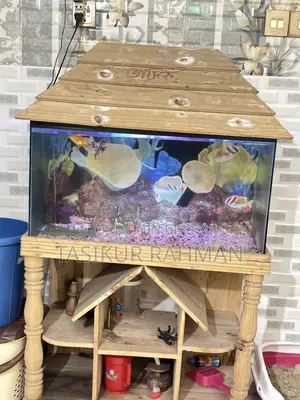 Aquarium For Sale 30*18 Full Set
