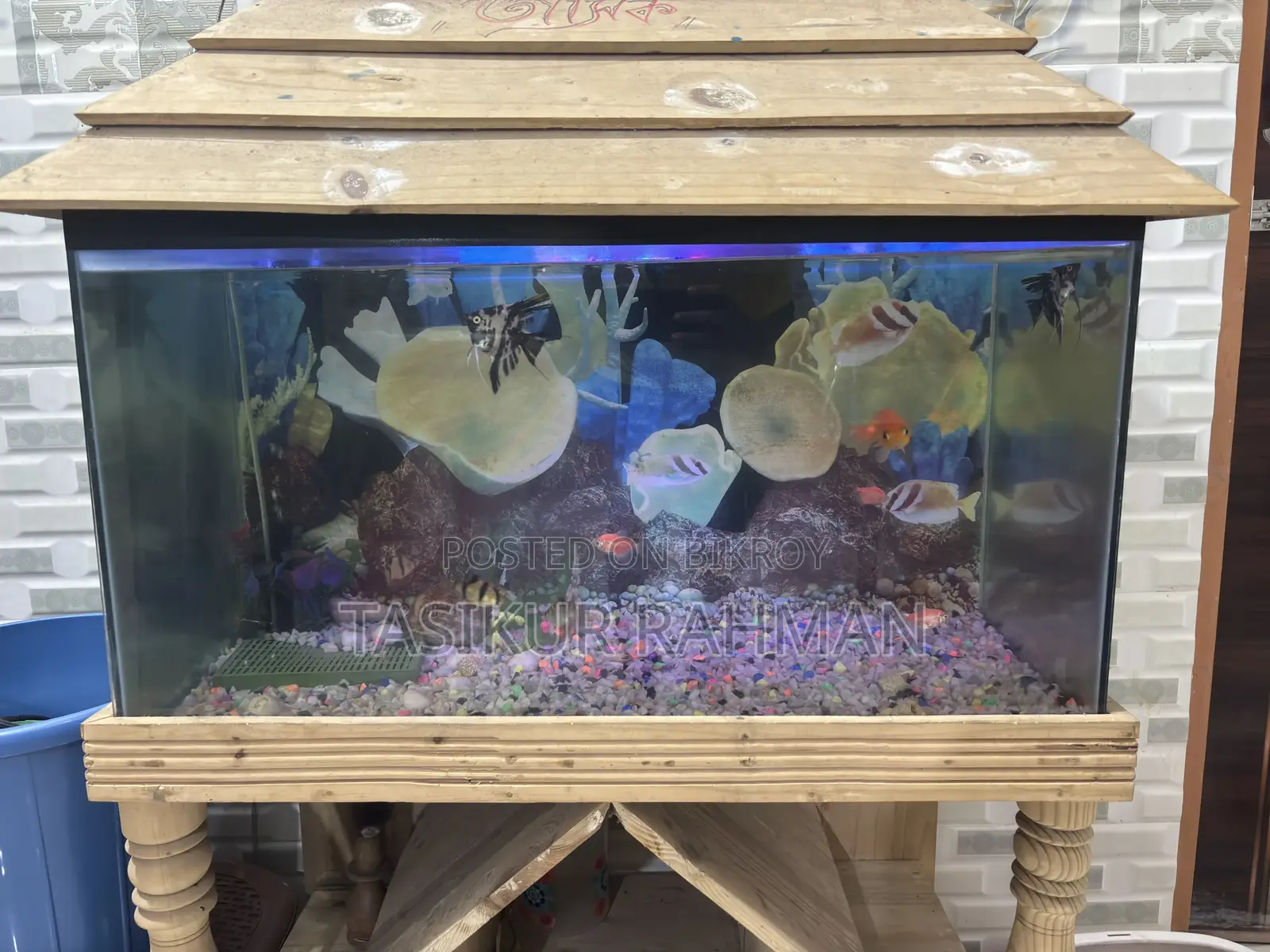 Aquarium For Sale 30*18 Full Set