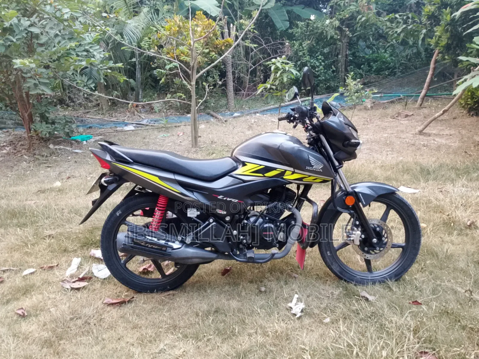 Honda 2024 Gray