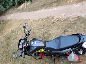 Honda 2024 Gray