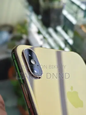 অ্যাপল আইফোন এক্সএস ম্যাক্স ৬৪ জিবি রোজ গোল্ড