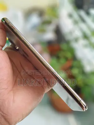 অ্যাপল আইফোন এক্সএস ম্যাক্স ৬৪ জিবি রোজ গোল্ড