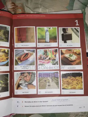 Netzwerk Neu A1 German Language Books