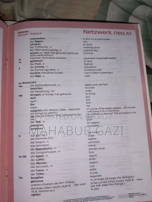 Netzwerk Neu A1 German Language Books