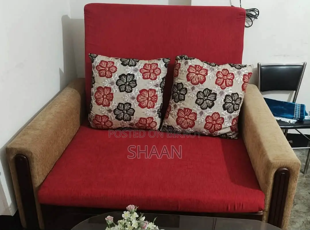 Sofa Cum Bed