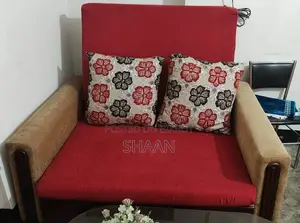 Sofa Cum Bed