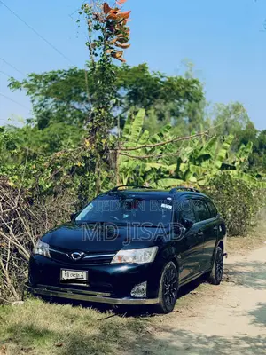 Toyota Axio 2015 Black