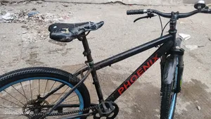 Phoenix Cycle