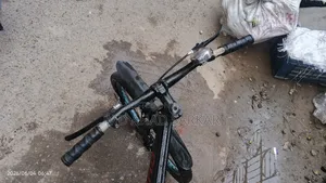 Phoenix Cycle