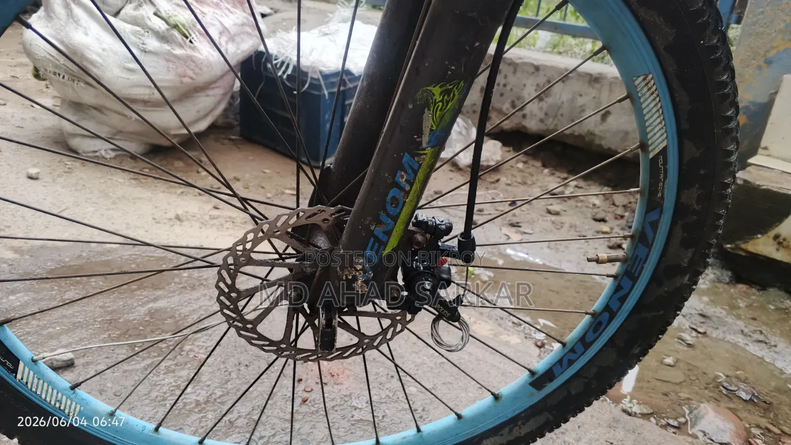 Phoenix Cycle