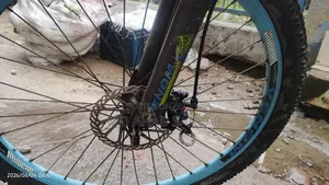 Phoenix Cycle