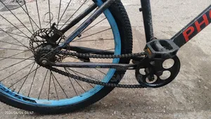 Phoenix Cycle