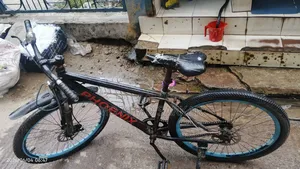 Phoenix Cycle