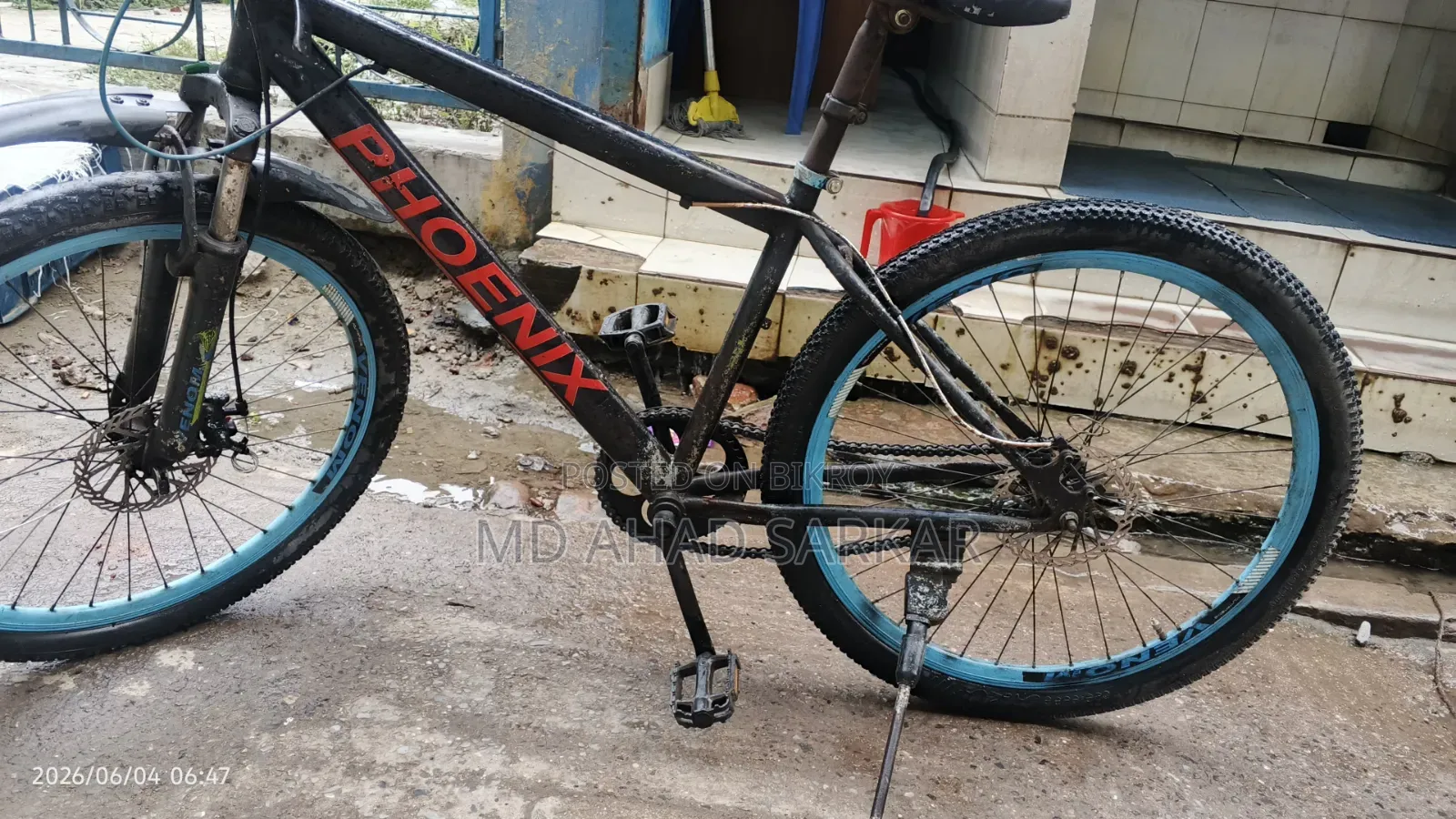 Phoenix Cycle