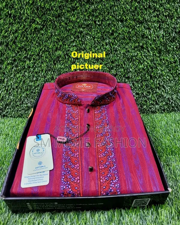 Embroidery Panjabi