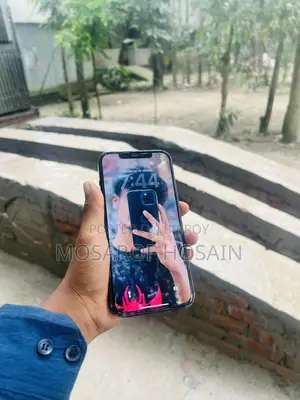 Apple iPhone 12 Pro Max 256 GB