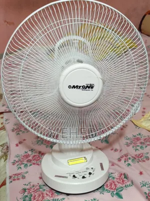 Rechargeable Fan