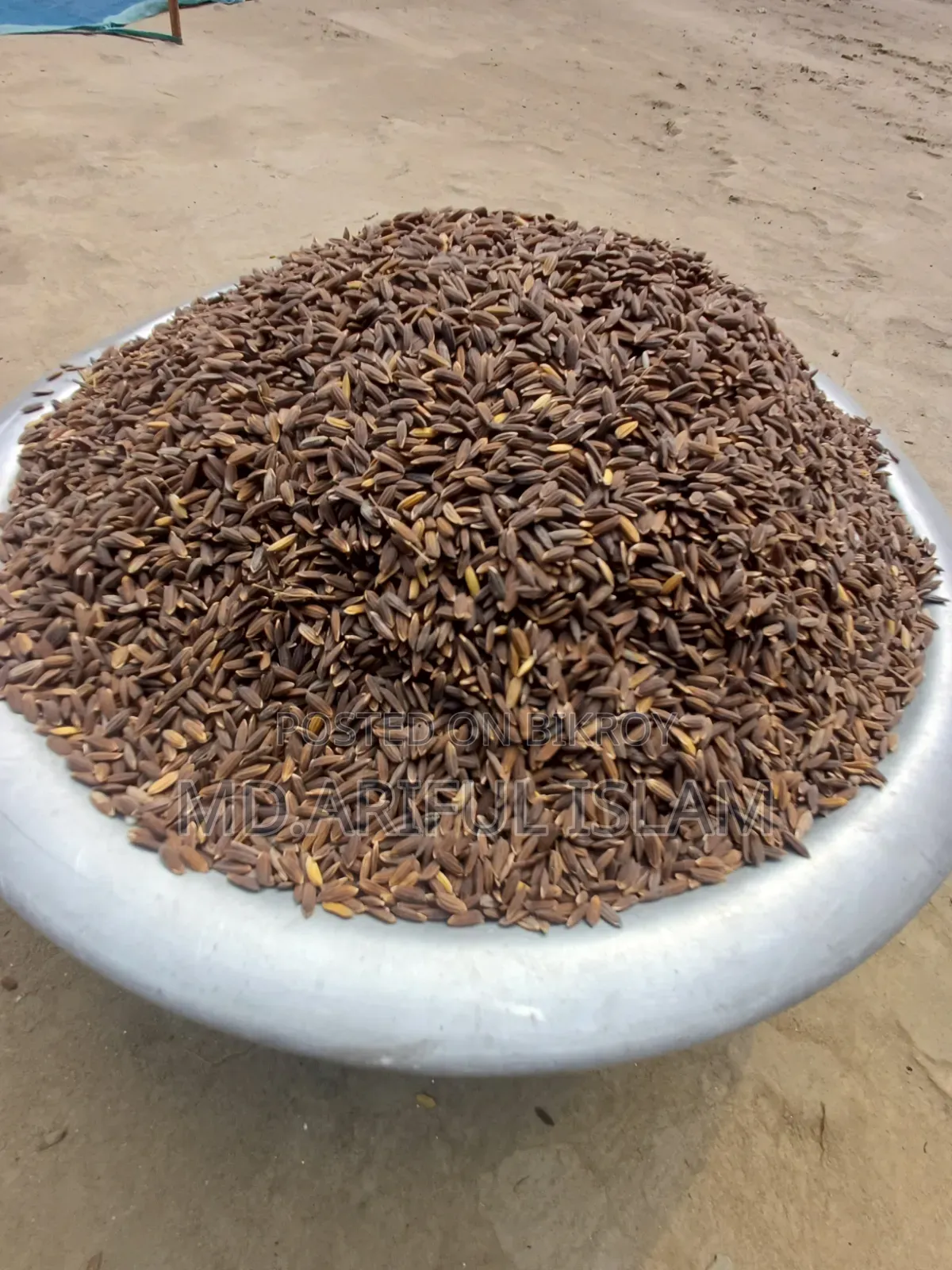Black Rice