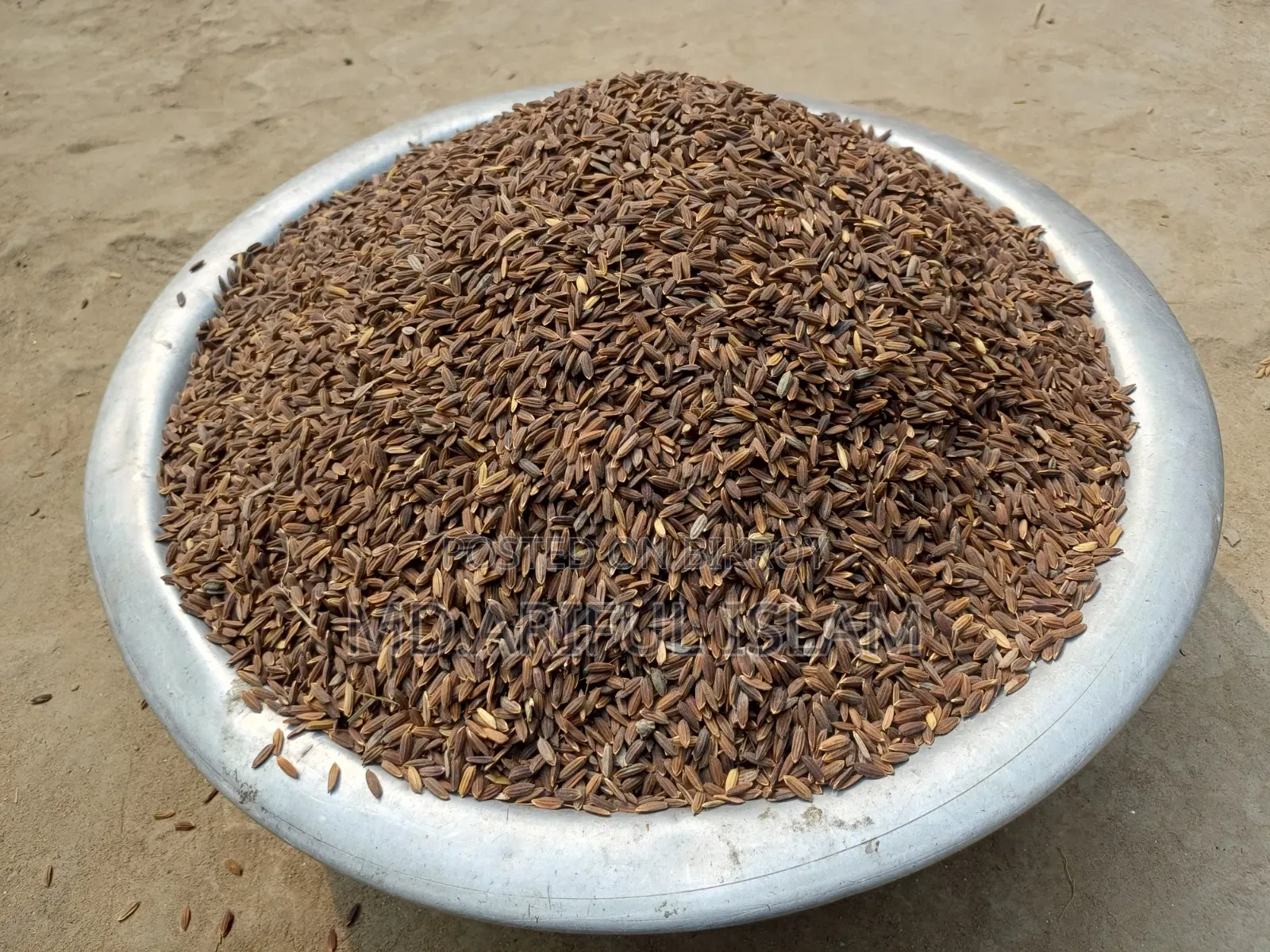 Black Rice