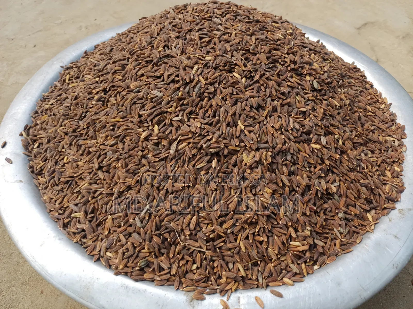 Black Rice