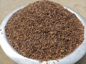 Black Rice