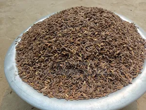 Black Rice