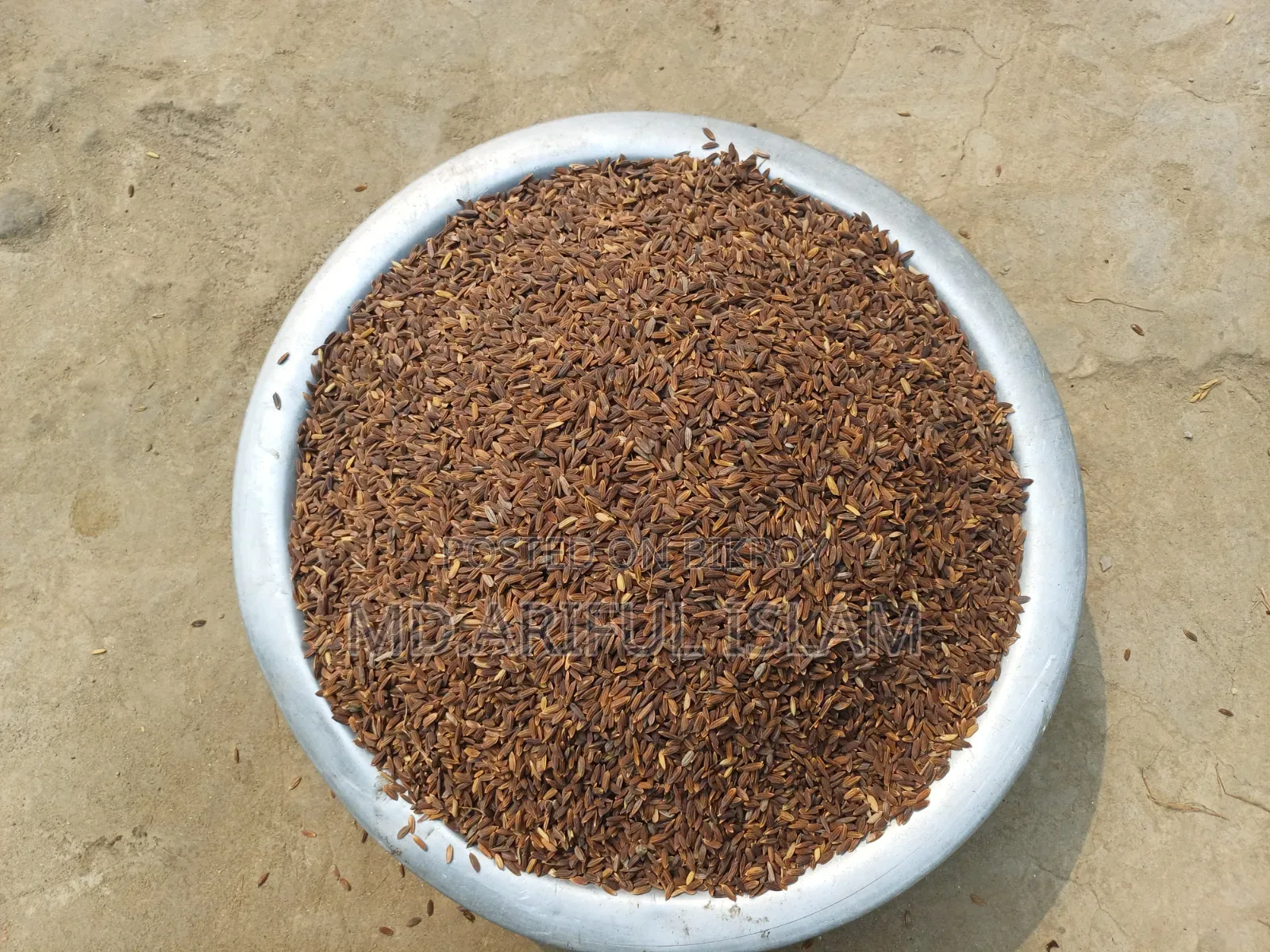 Black Rice