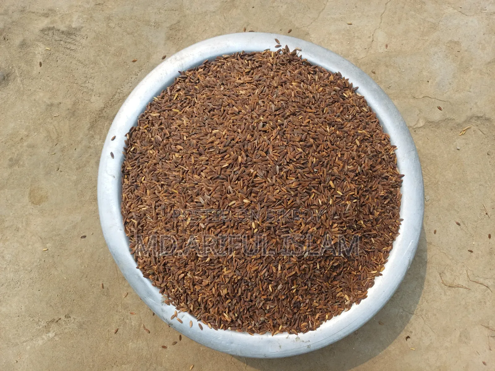 Black Rice