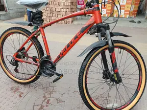 Running Cycle