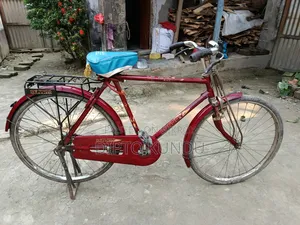 দুরন্ত সাইকেল
